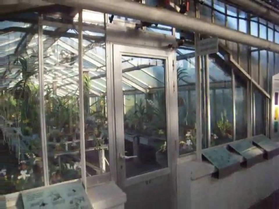 Les serres d'Auteuil que Paris veut détruire