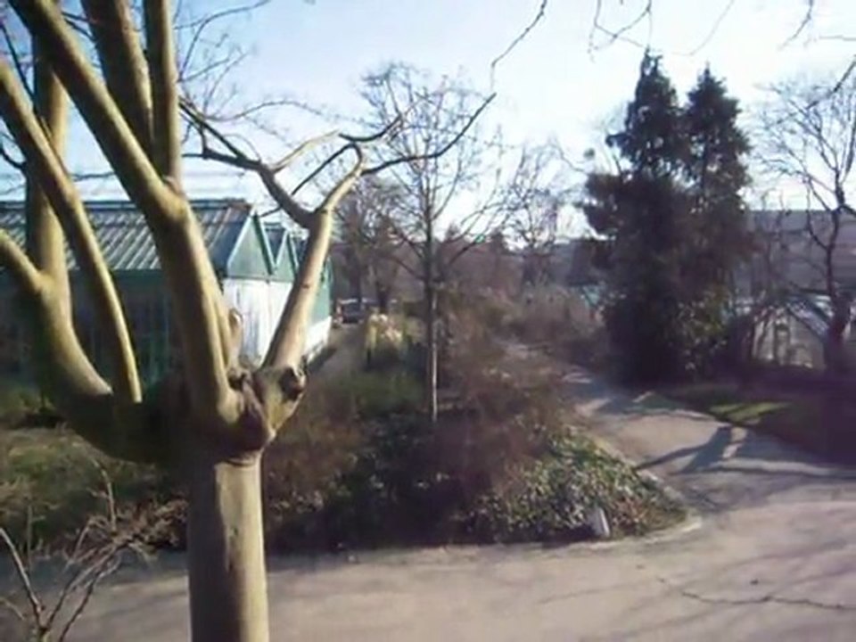 Les serres d'Auteuil que Paris veut détruire