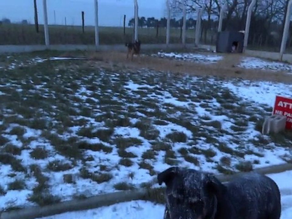 vérak et la neige