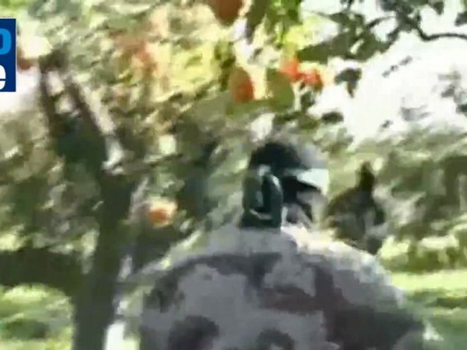 Hamas establece la línea de producción de cohetes en el Sinaí