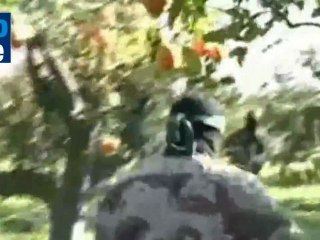 Hamas establece la línea de producción de cohetes en el Sinaí