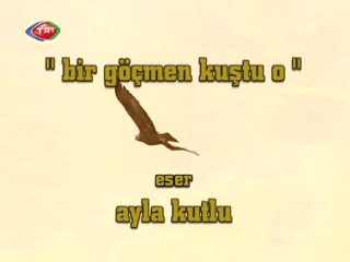 bir göçmen kuştu o (1.bölüm / 1. Kısım)