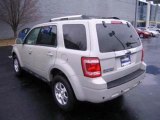 Used 2009 Ford Escape Naperville IL - by EveryCarListed.com