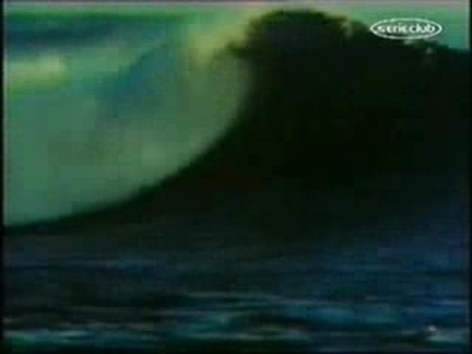 hawai police d'etat