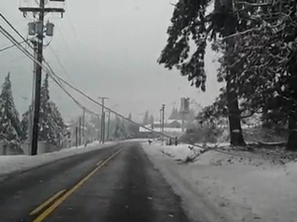Part Three: Ice Storm of the 3rd Week of January Near Puyallup, Washington