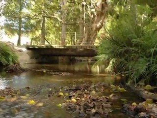 NZ PROPERTY  MARKETING SHOW HOME PRODUCTIONS