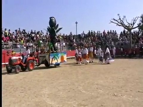 Carnaval 2011 - st mathieu herault - 34