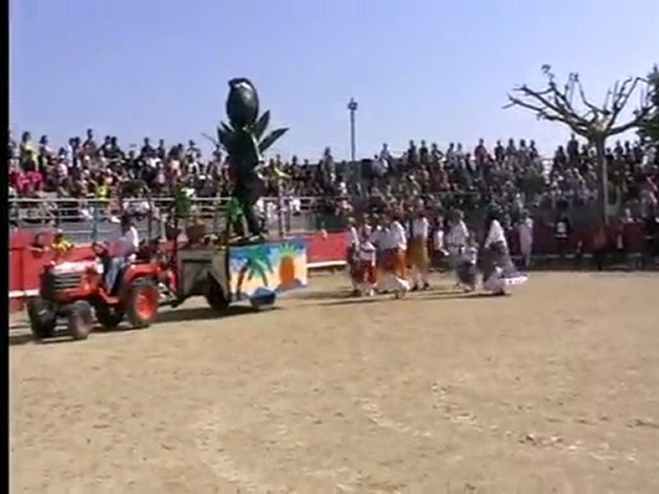 Carnaval 2011 - st mathieu herault - 34