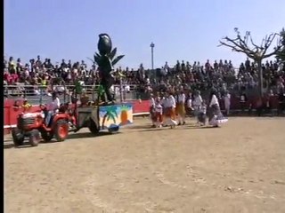 Carnaval 2011 - st mathieu herault - 34