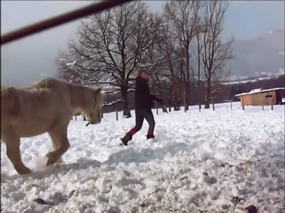 Galop dans la neige !