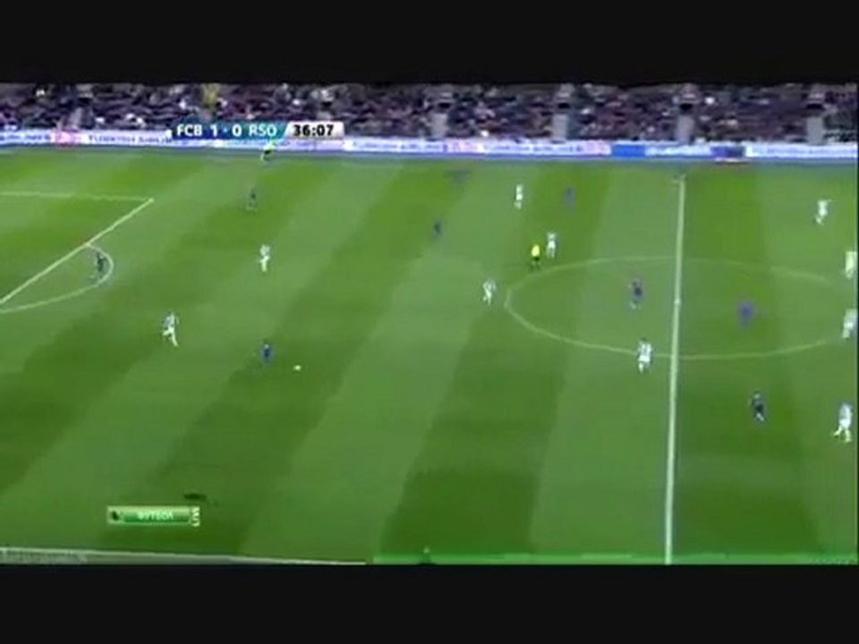 Μία μαύρη γάτα περνά μέσα από το χορτάρι του "Καμπ Νου"