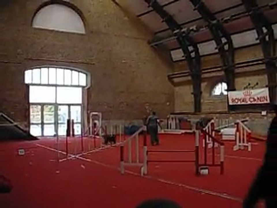 0212_Jumping_Aire_Algy