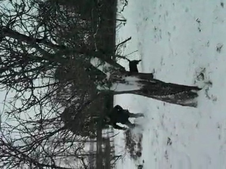 2012 02 05 - Miguel et Sidji 01