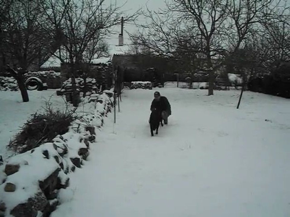 2012 02 05 - Miguel et Sidji 02