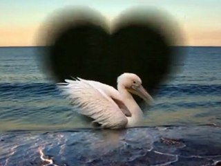 Valentines Day Poem- Missing You This Valentines Day