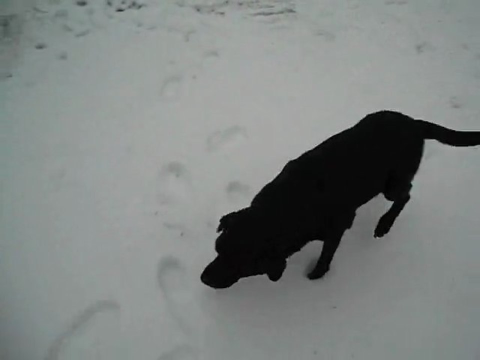 2012 02 05 - Miguel et Sidji 03