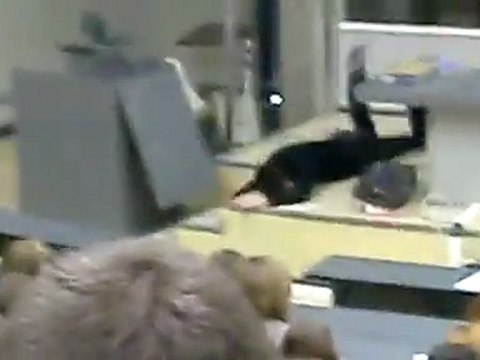 un-etudiant-de-philo-pete-les-plombs