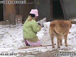 03.02.2012 kar manzarası