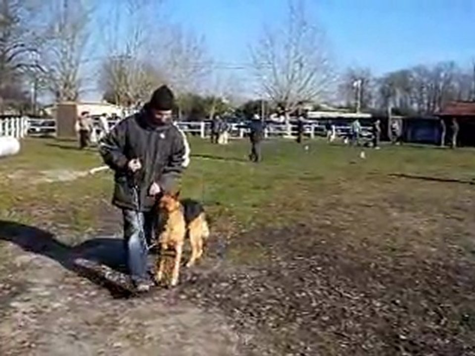 Education au Canis Club Pessacais Illacais fevrier 2012