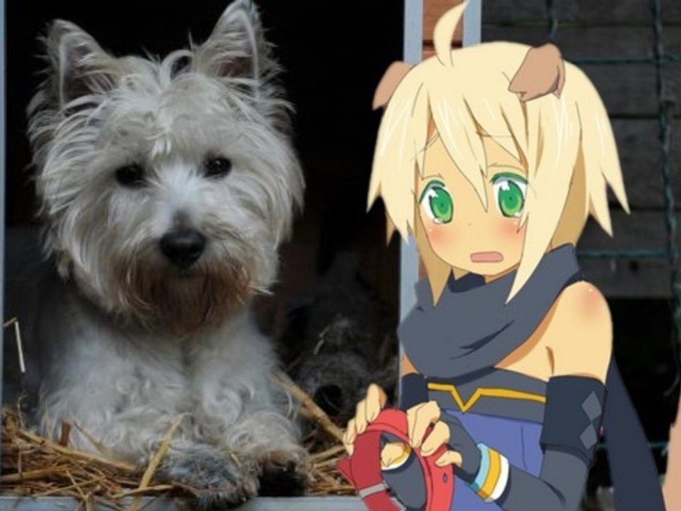 Tales of Symphonia 2-18/ Are you a dog or a man ?