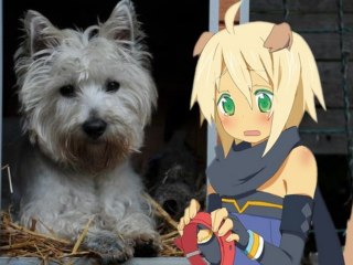 Tales of Symphonia 2-18/ Are you a dog or a man ?