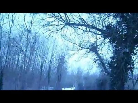 Surgères sous la neige