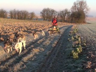 2012.02 entrainement des Norrland Husky