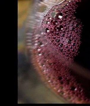 La passion du vin par Jean-François Dupuis photographe