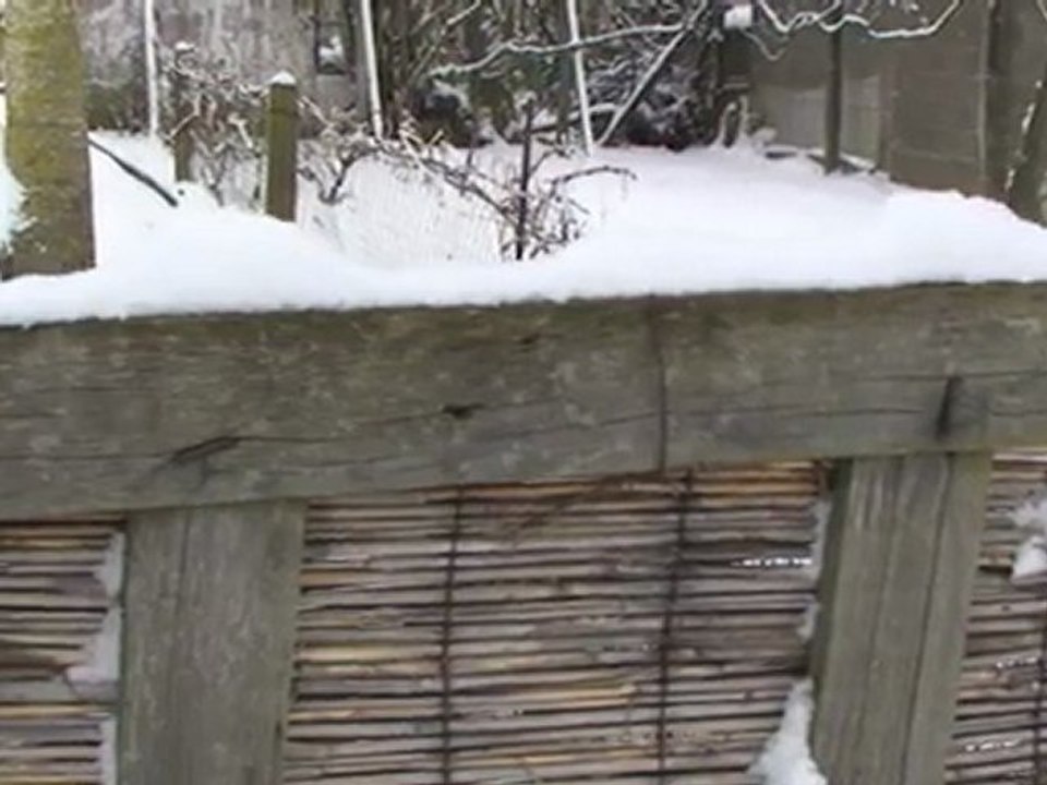 Oh, chouette, il a neigé...