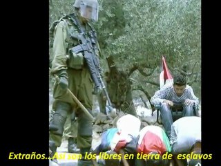 Islam Goroba Extraños Anashed (Subtitulado)