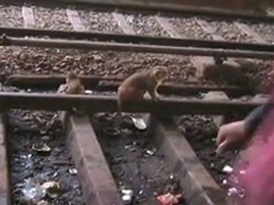 séjour à Agra
