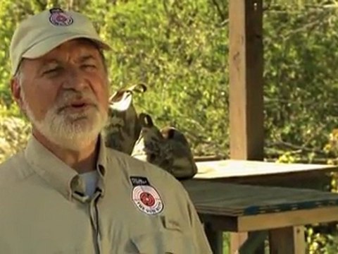 The Gun Nuts: What Was Your First Gun?