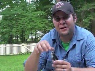 ICAST Pool Test: ABT Banshee Swimbait