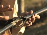 The Gun Nuts: 20 Gauge Shell Lodged in 12 Gauge Shotgun