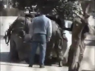 فري برس   ريف دمشق داريا تفتيش المارة واعتقالات عشوائية 4 2 2012