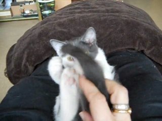 Gloups, mes jambes pour hamac