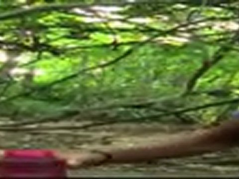 Survivor India [Episode 10] 720p - 5th February 2012 Video Watch Online HD - Part1