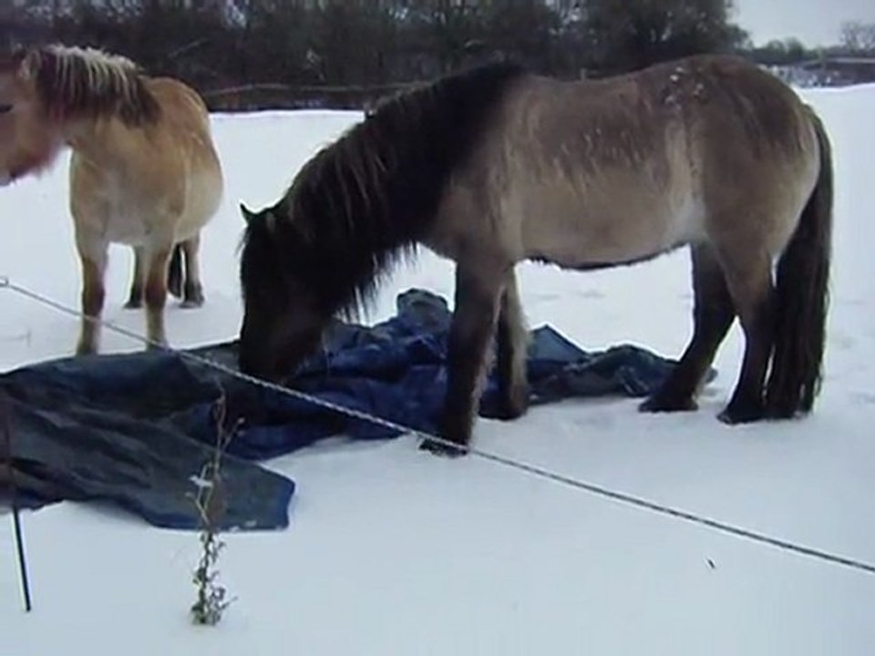 la bache meme pas peur !!