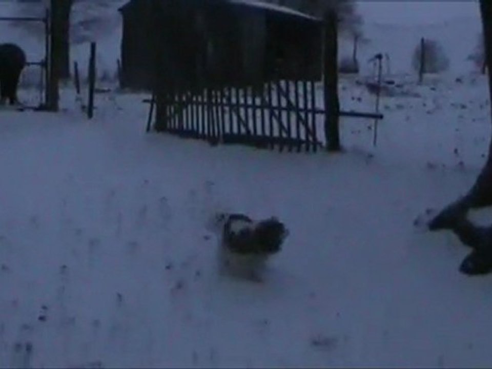 Ulia re..découvre la neige