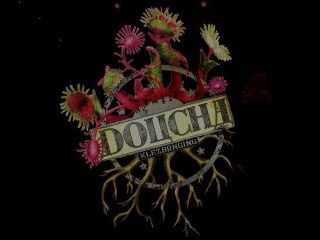 Doucha - klezmer/Alternatif