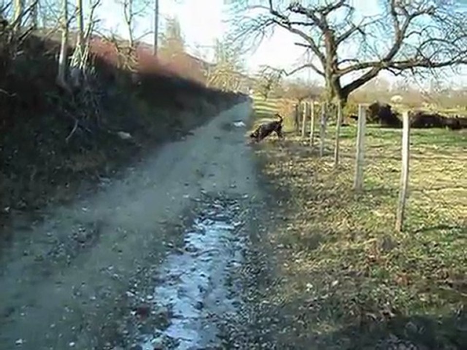 5 2 2012 007