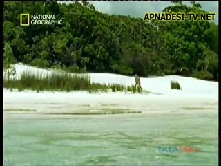 Pre Historic Park - Part2