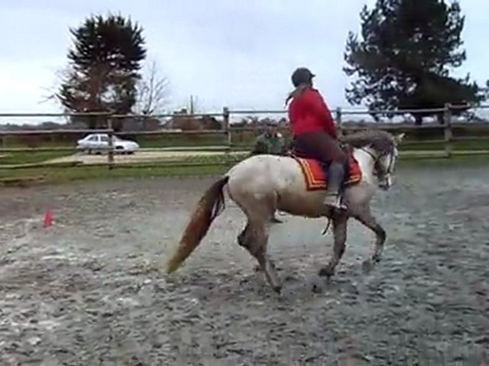 Ceniza le 22/01/12