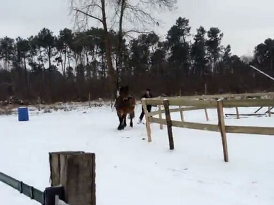 120205 Skijo, le Ké autour du rond de longe