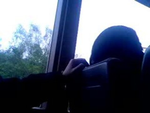 Momo gratte la tête d'une renoi