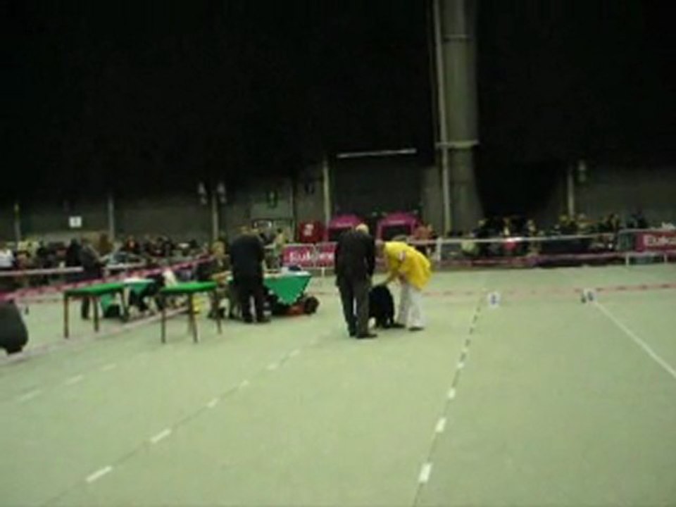 Leuven 2011 Sherdan 1 Exc