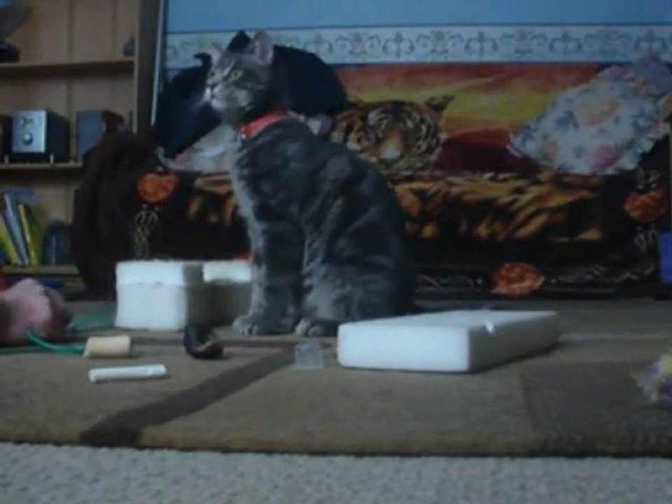 Tuffles