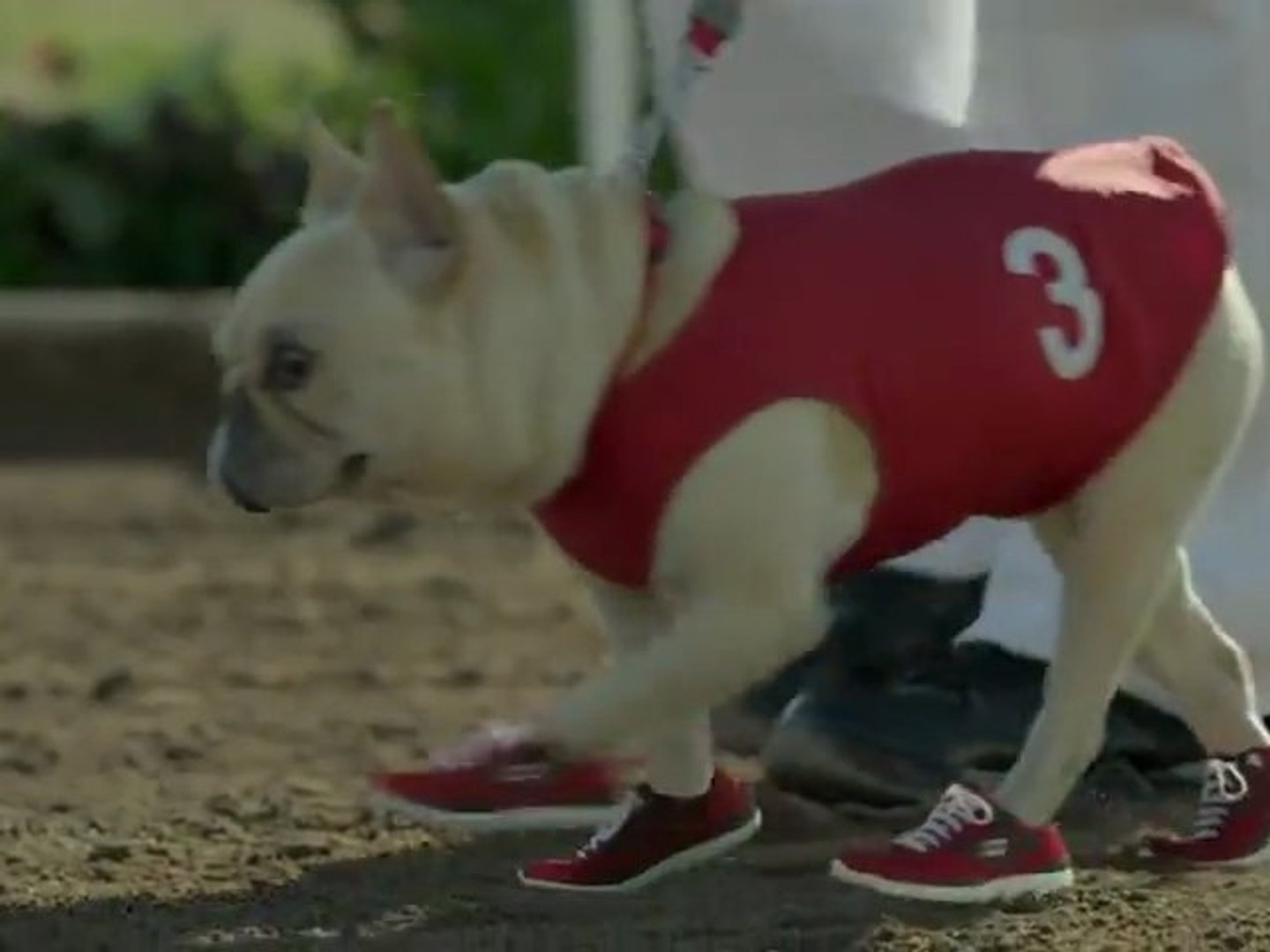 SKECHERS - GO RUN Mr. Quiggly! Big Game Commercial 2012 - video Dailymotion