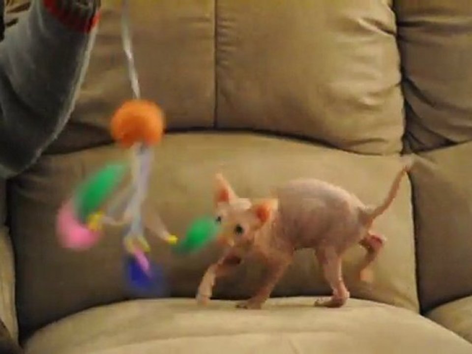 Skin 10 semaines et demi