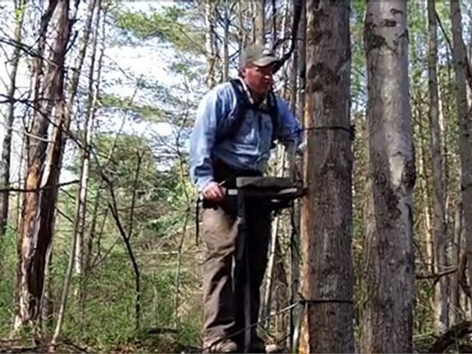 DH treestand
